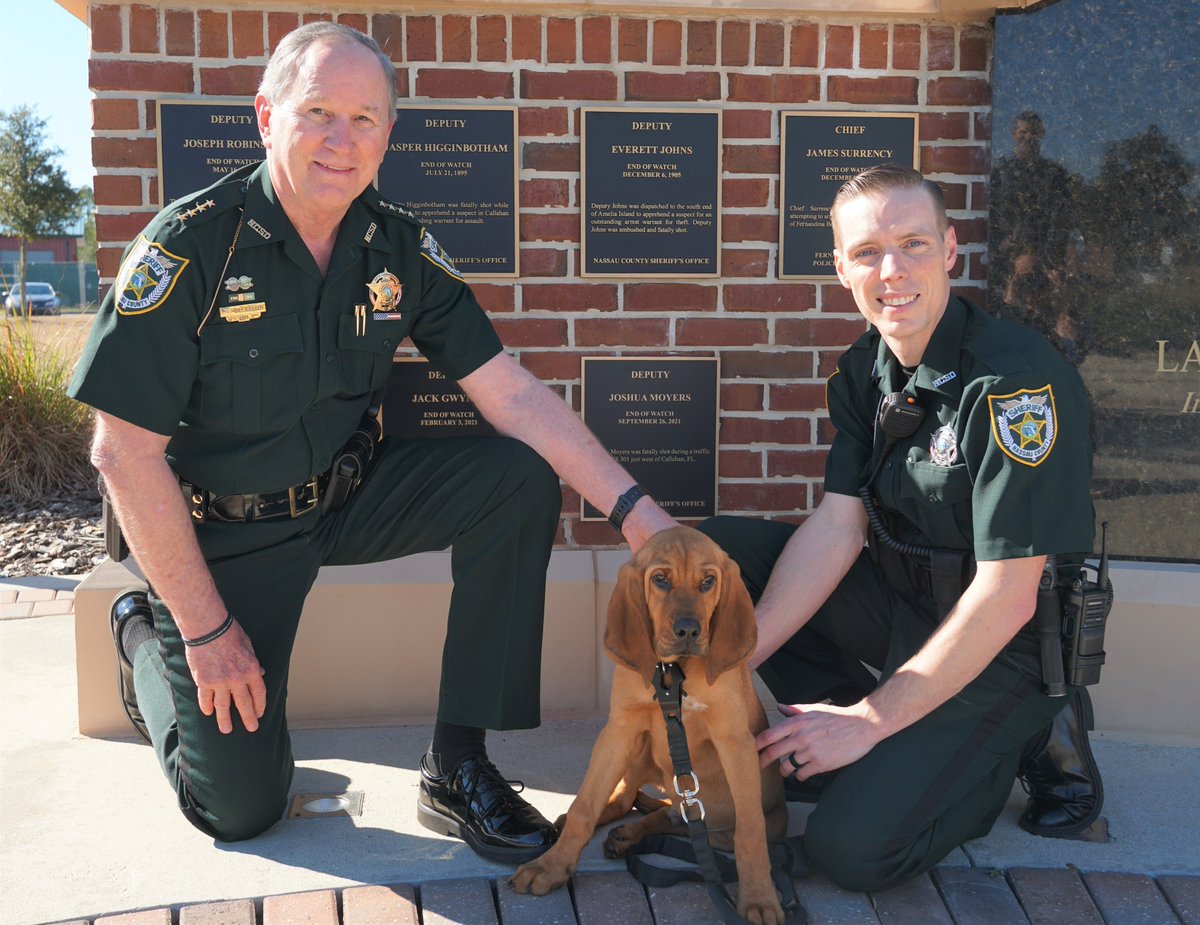 We want to thank everyone who sent us name suggestions for our newest puppy. The name chosen is Ol’ Red, in memory of Deputy Josh Moyers. Deputy Moyers was shot and killed in September. Ol’ Red was gifted to us from the Santa Rosa County Sheriff’s Office.