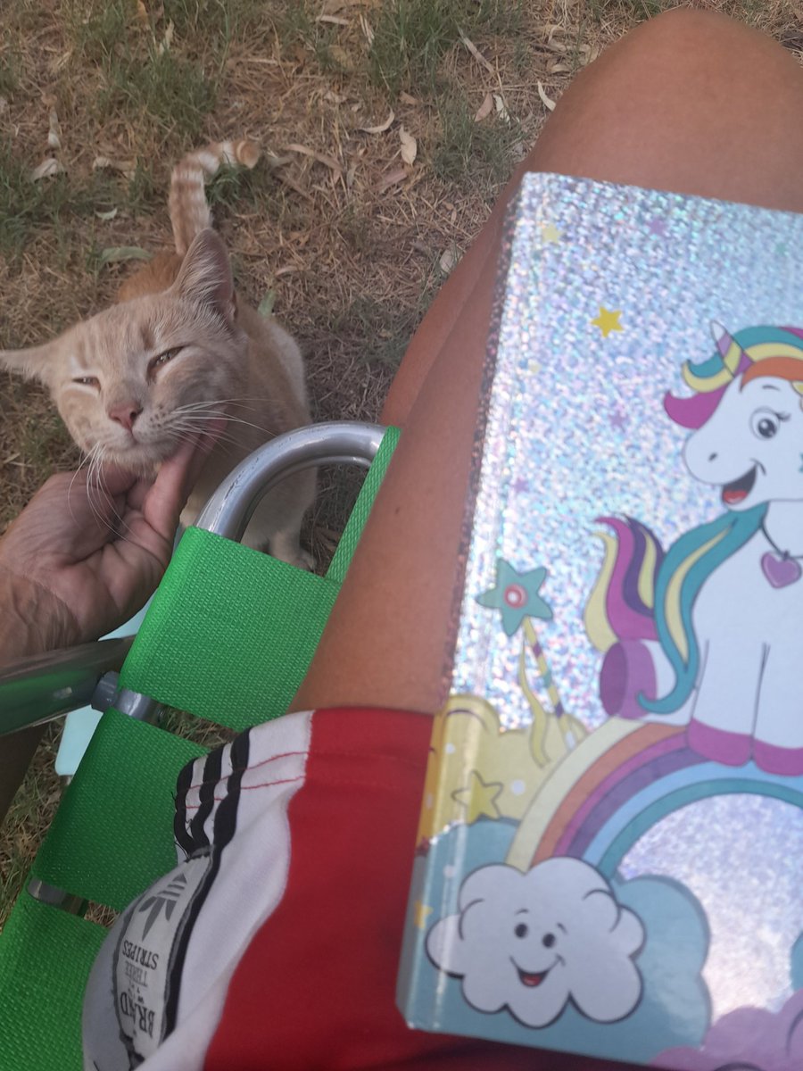 "Todo mentía" se lee en #MadameBovary. Muy vigente como este trabajo de corrección para nuevo libro que editará <a href="/Hdediciones/">HD ediciones</a> ! ¿Cómo unas hojas de Word se vuelven libro? No deja de parecerme un bello misterio! Gracias <a href="/Bati_duende/">Diego Rosake</a> ! Y a la gata aliada!! #CriticaCultural #Libro