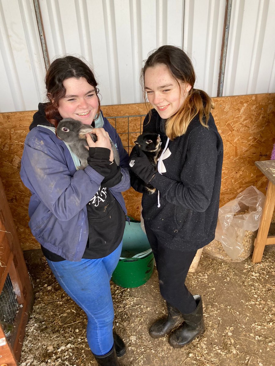 HopefieldsEd's tweet photo. It was a farm day today and all mucked in (!!!) to get the job done. Some bunny hugs kept us warm. @D4VEP #SmilingChildren #ThisIsAP https://t.co/SfzDfsWnan