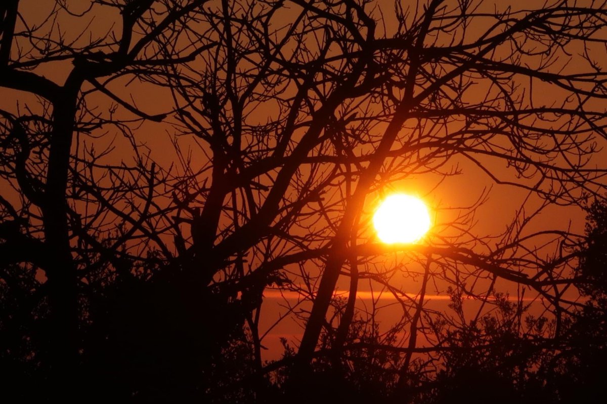 J o a n C o s t a tweet media