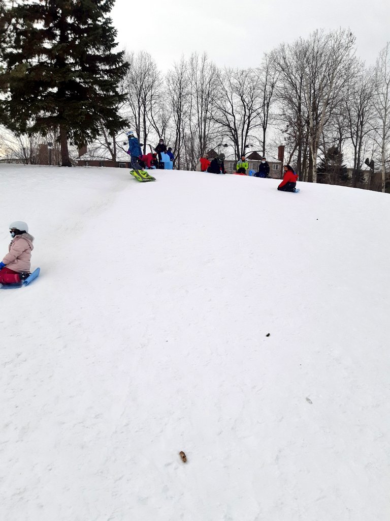 Daniella Awad tweet media