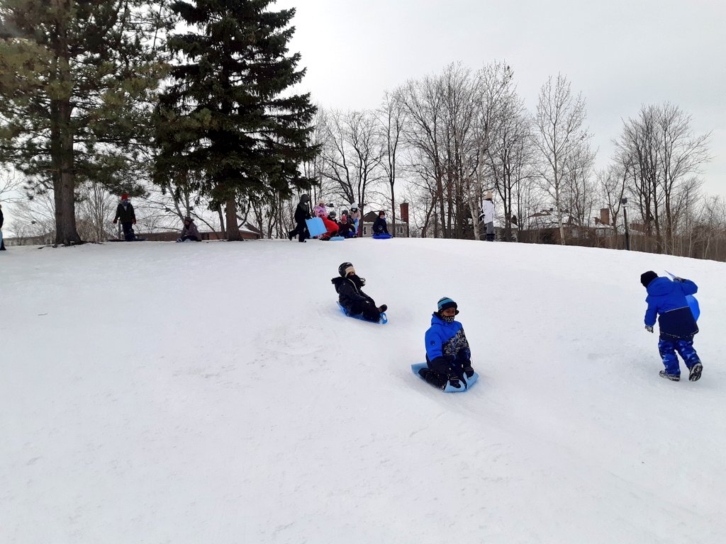 Daniella Awad tweet media