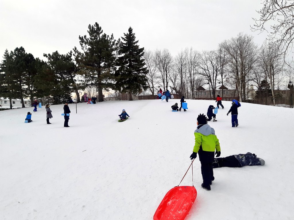 Daniella Awad tweet media