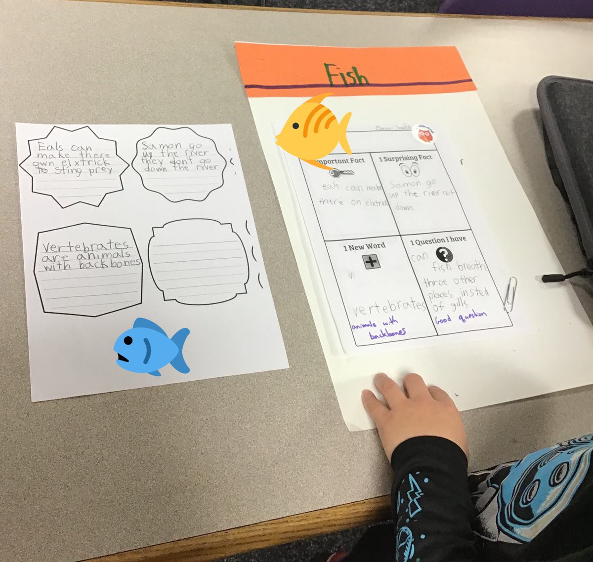 Hannah Thomas tweet media