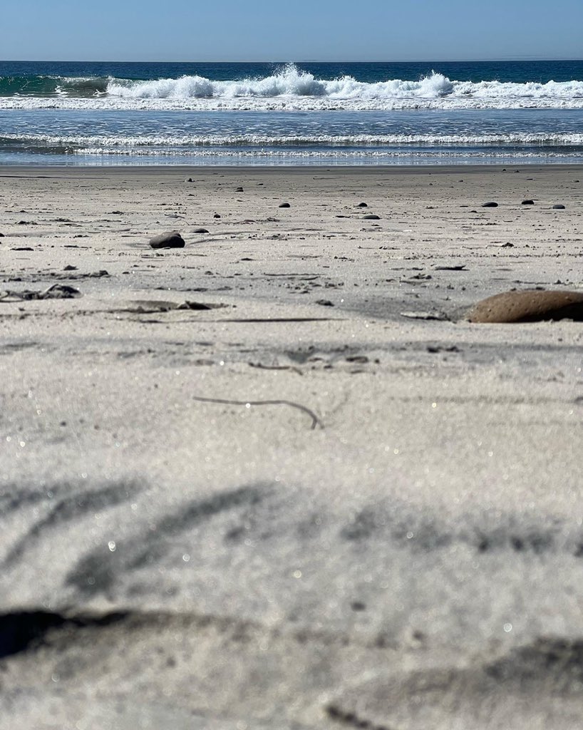 Normally my new year’s resolution has to do with goals I’m trying to achieve in content creation. This year it’s about making myself take breaks from working to just relax and enjoy free time more!