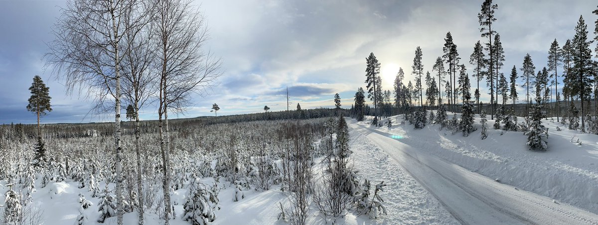 F_Gustavsson's tweet image. 🇸🇪❄️❤️ #testdays #WRC