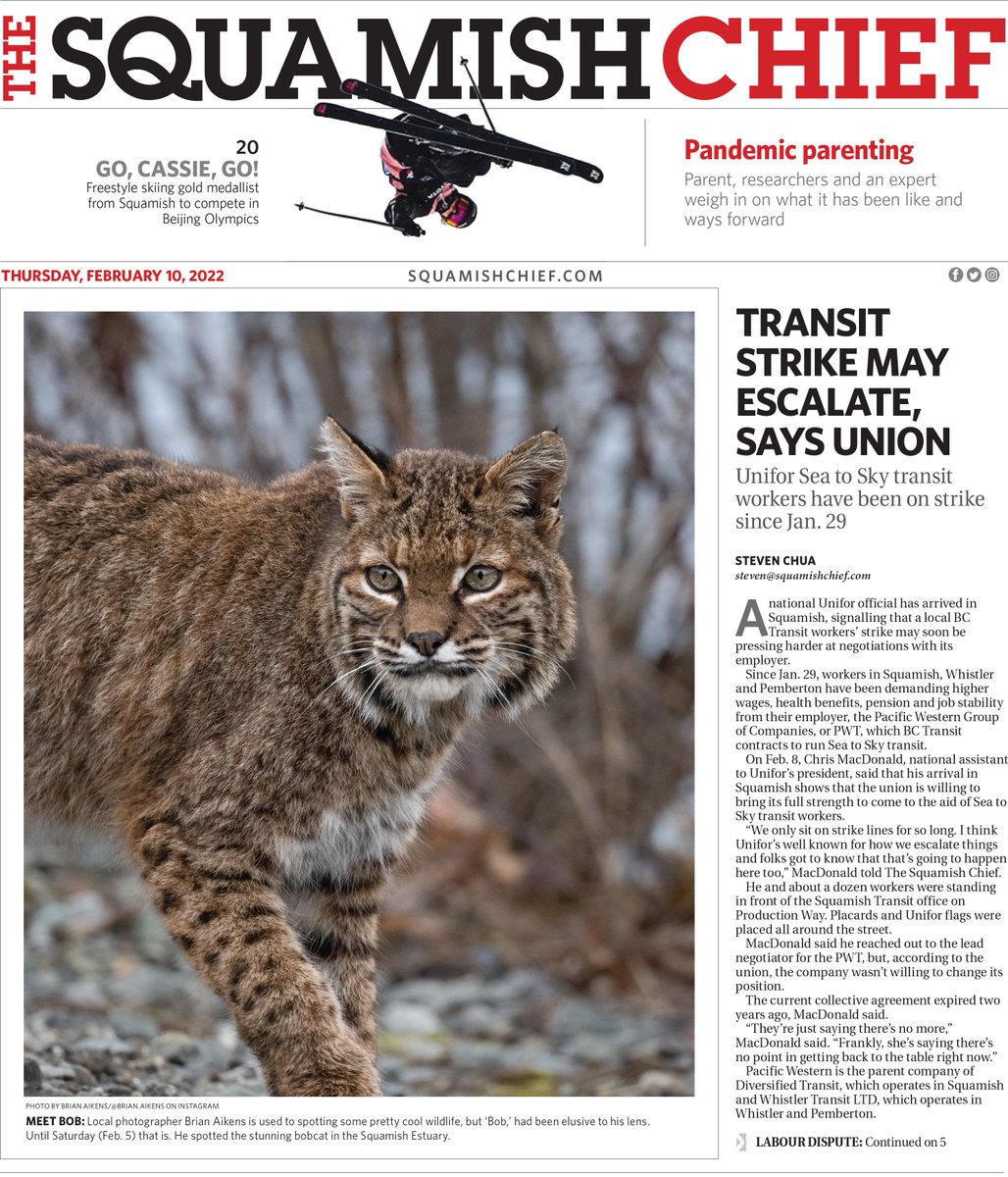 Thuncher's tweet photo. How about that for a @squamishchief cover! #partylikeajournalist
#Squamish #hisnameisBob https://t.co/4dZCDTSXwU