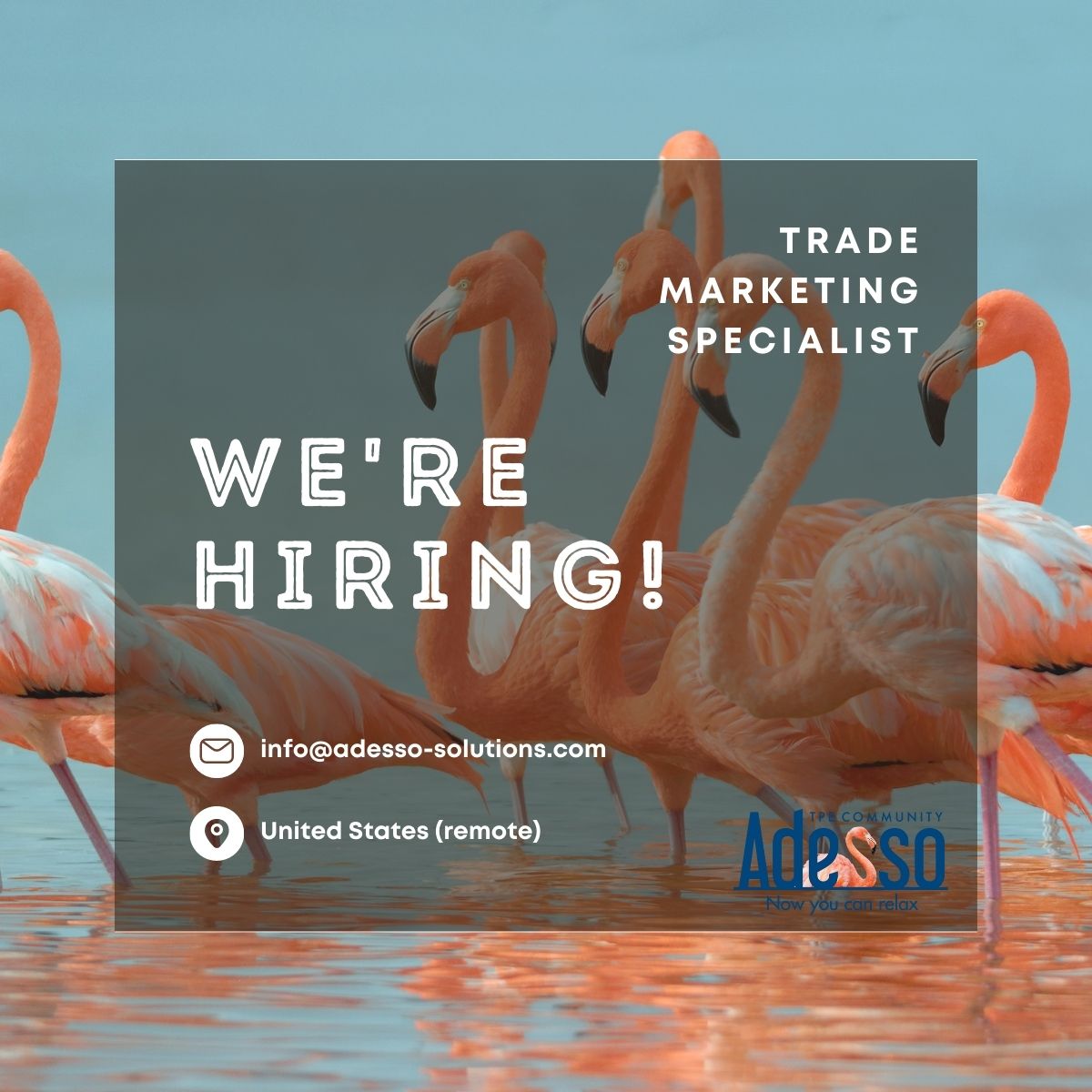 TPEffectiveness's tweet image. We are #hiring for a #remote #trademarketing #specialist! Contact info@adesso-solutions.com for more information or visit our careers page here: adessosolutions.com/careers/