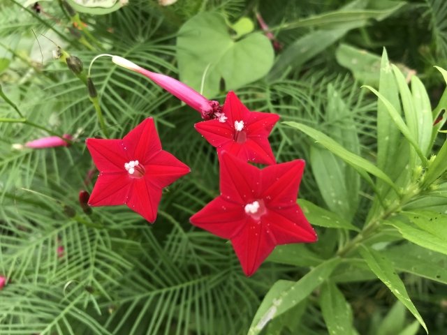 漢字の備忘録 Ffrq7obun6x7tow Twitter 漢字の備忘録 Ffrq7obun6x7tow Twitter