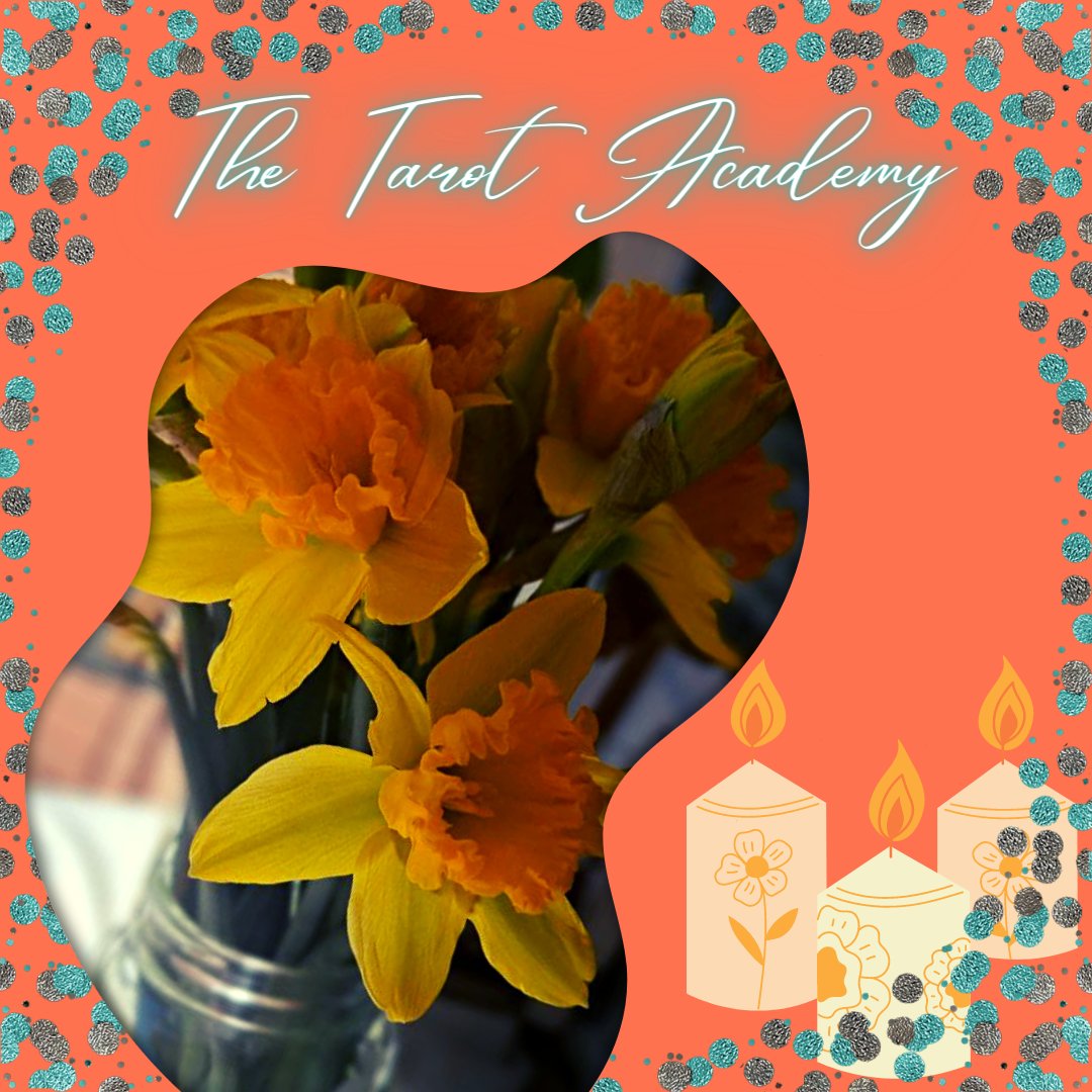 Michaela_rena's tweet photo. 2 of Pentacles!
Flowers are beautiful! Whether we receive one, two, three or a bunch, each are guaranteed to put a smile on your face.
The message:
Work at a common goal precisely, independently and together.
The flower has  ... Read more https://t.co/IqAGQdD99s https://t.co/VJJkYpxzVa