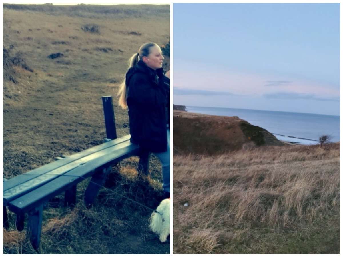 donzi83's tweet photo. Our memory bench.... With the most perfect views ❤️ @rickygervais @AfterLife_Fans https://t.co/cQBWZCG2bH