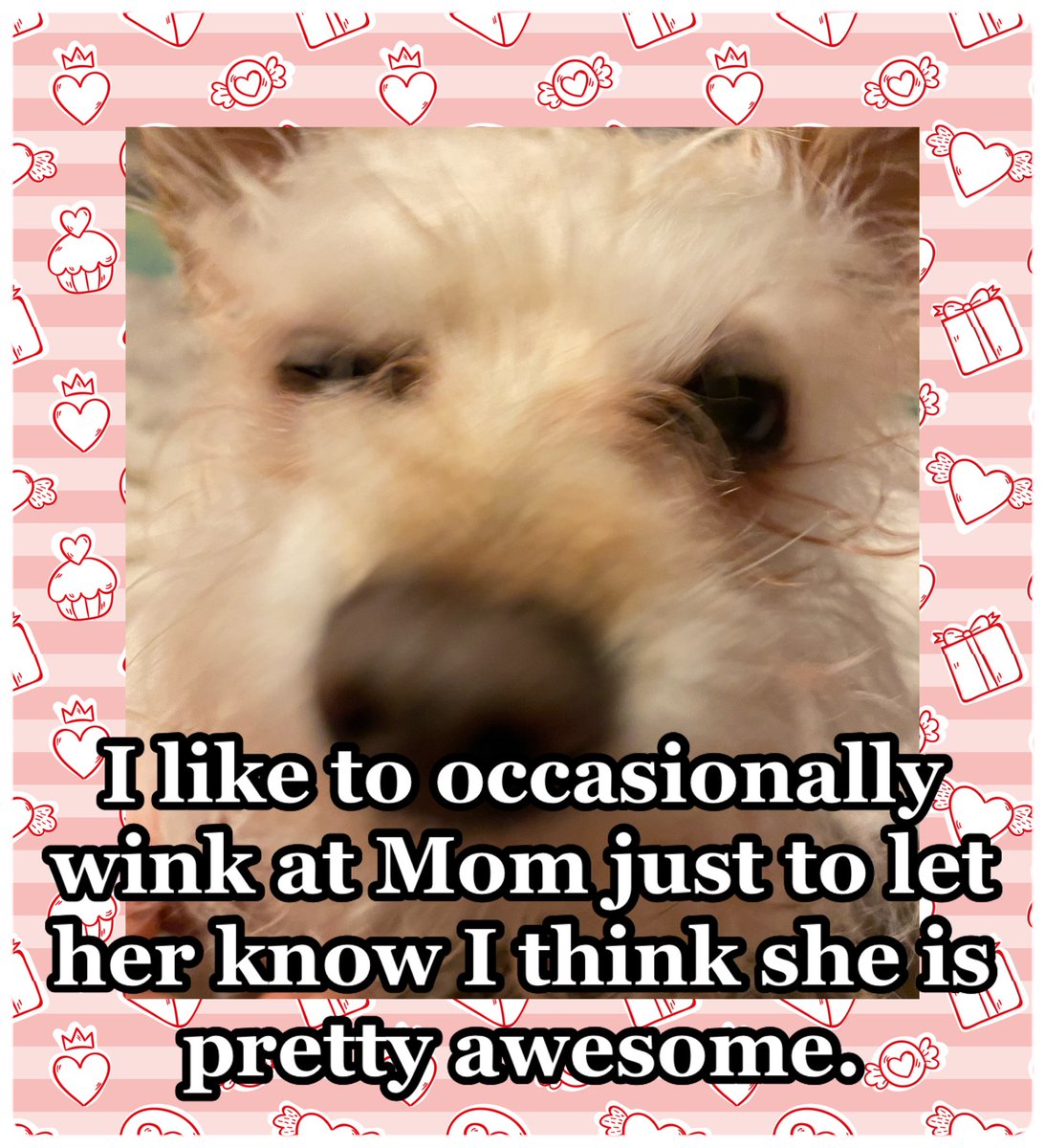 TinkWonderMut's tweet photo. Sometimes she winks back… that’s just weird. #doggy #dogs #doglife #dogsofinstagram #dogs_of_instagram #dogsofig #dog #doggie #doglover #doglove #doglovers #dogwalk  #funnymemes #funny #funnyshit #pet #pets #socute #dogsofinsta #doggy #doggie #dogmom #dogslife #dogoftheday https://t.co/Cl1MQWpJQr