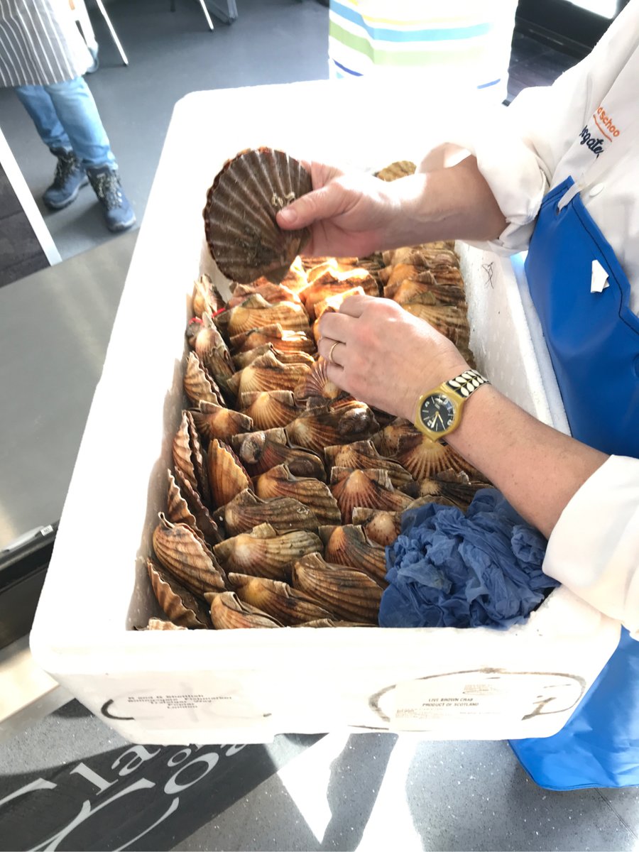 CJKentSeafood's tweet photo. 12 dozen scallops prepared @ClassroomCoast #scallops #easysupper #bivalve #valentines https://t.co/FIqIlYqpHK