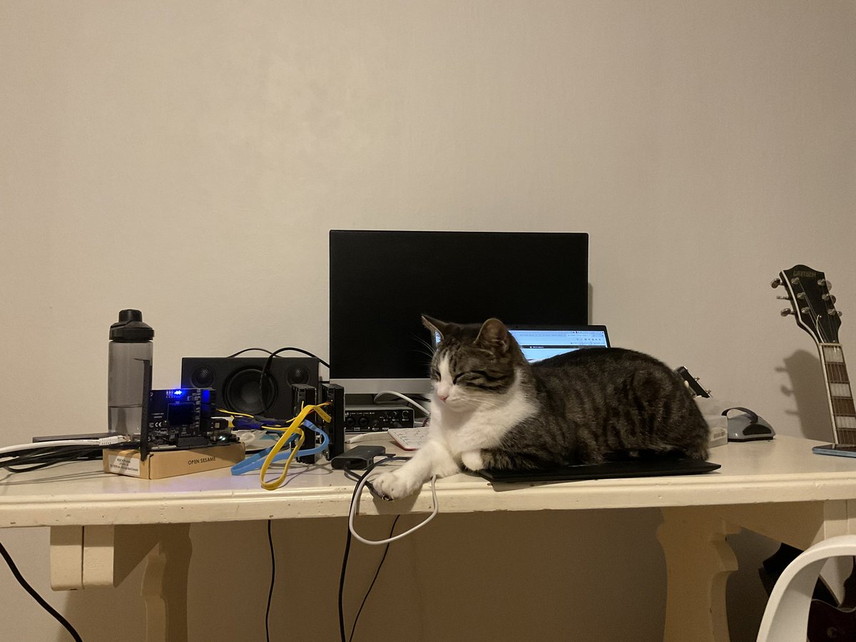 nathan_dao's tweet photo. Comfortable mess. https://t.co/mFBiUFaEke