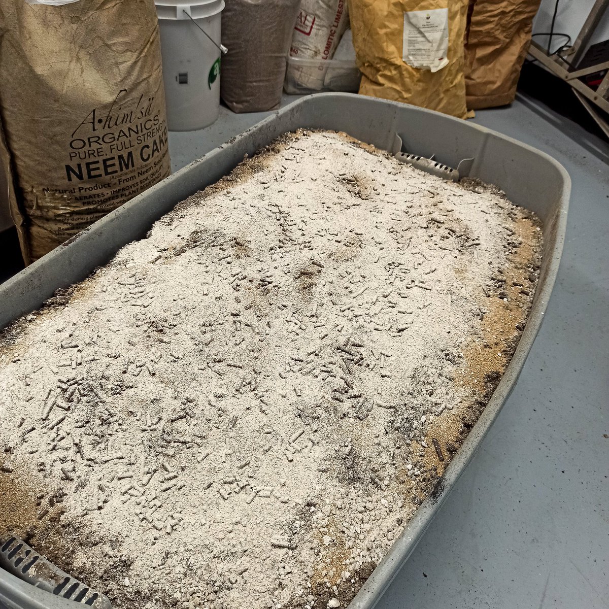 Cookin' up a fresh batch!!