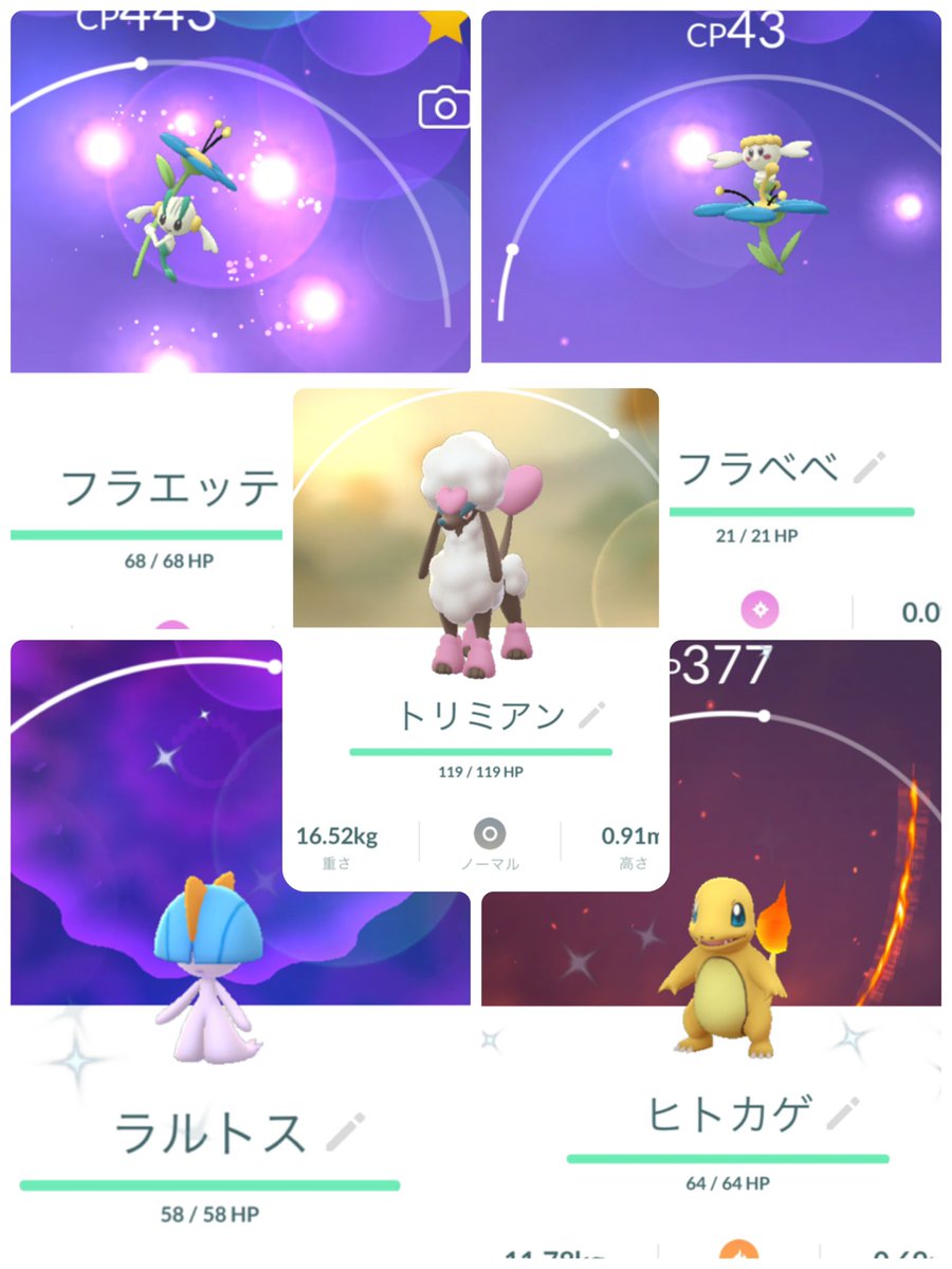 ポケモンgo フラエッテの色違い 入手方法と実装状況 攻略大百科 ポケモンgo フラエッテの色違い 入手方法と実装状況 攻略大百科