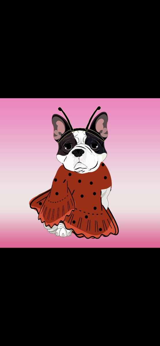 TheVacationDogs's tweet photo. Do you love French Bulldogs? Then this collection is for you! 🤗 Open link in bio and buy everything you need 😃#NFT #NFTCommmunity #NFTCollection #OpenSeaNFT #NFTs #OpenSea https://t.co/ln8eFBPPcV