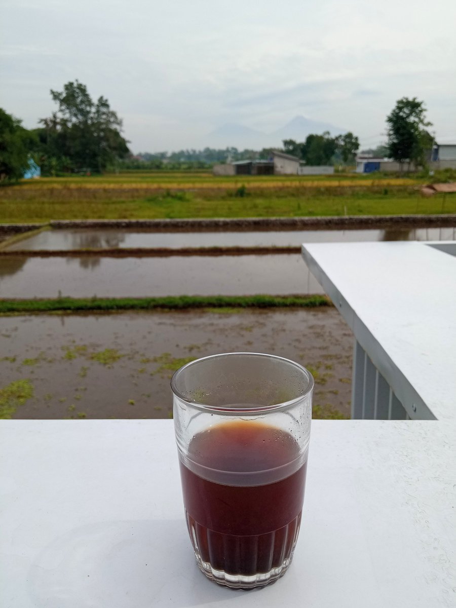 Ngopi