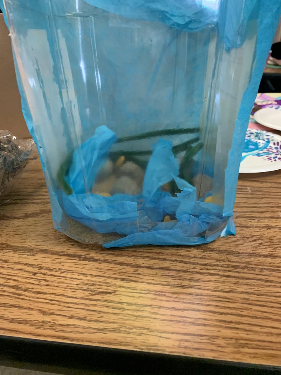Room 205 3rd Grade tweet media