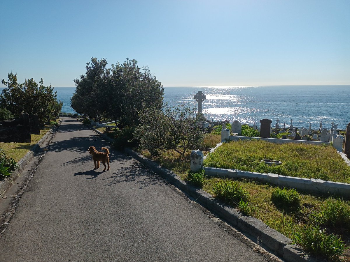 Matt Paff tweet media