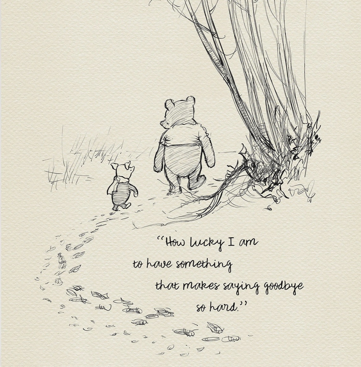 Hayley McGowan tweet media