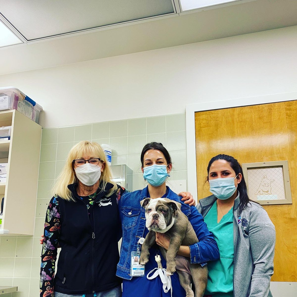UCDavis_VIRC's tweet photo. Goodbyes are always bittersweet! After nearly 20 years as a UCDavis Aggie, in March I’ll officially be a @tamuvetmed Aggie as I’ve accepted a Lab Manager position. It’s been a true blessing working with countless inspiring individuals @ucdavisvetmed and I’ll truly miss everyone! https://t.co/VtvClJOAob
