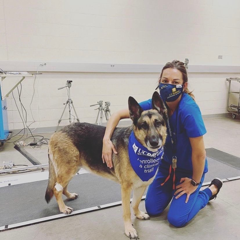 UCDavis_VIRC's tweet photo. Goodbyes are always bittersweet! After nearly 20 years as a UCDavis Aggie, in March I’ll officially be a @tamuvetmed Aggie as I’ve accepted a Lab Manager position. It’s been a true blessing working with countless inspiring individuals @ucdavisvetmed and I’ll truly miss everyone! https://t.co/VtvClJOAob