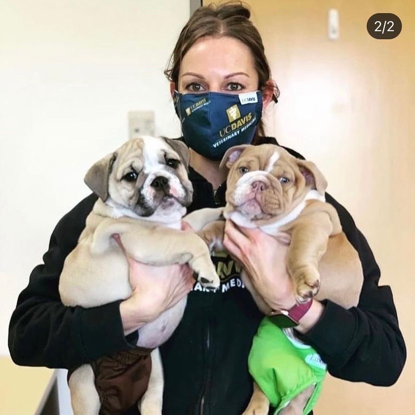 UCDavis_VIRC's tweet photo. Goodbyes are always bittersweet! After nearly 20 years as a UCDavis Aggie, in March I’ll officially be a @tamuvetmed Aggie as I’ve accepted a Lab Manager position. It’s been a true blessing working with countless inspiring individuals @ucdavisvetmed and I’ll truly miss everyone! https://t.co/VtvClJOAob
