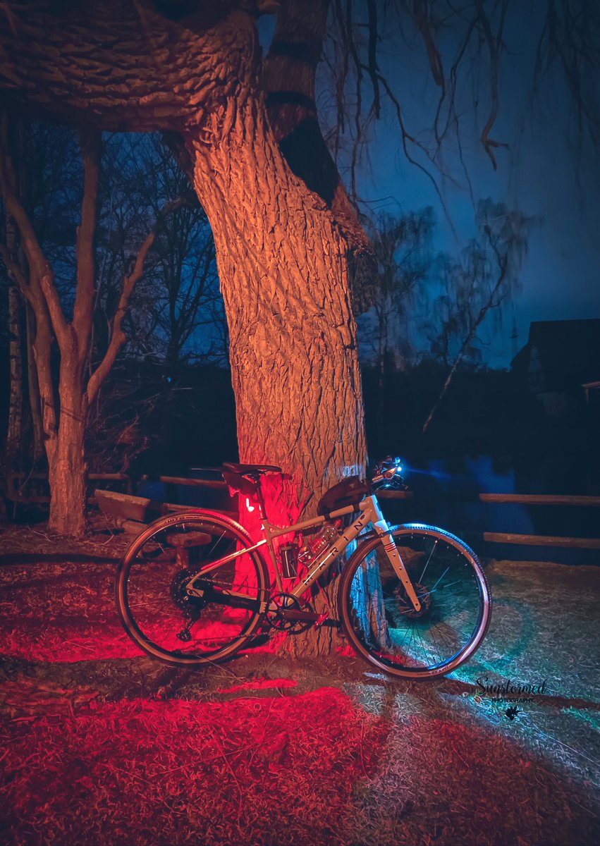Night rides are good for the soul..
#Treeride