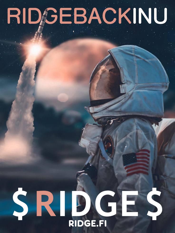 bemkulo's tweet photo. @ShibReports Hey, this is ideal opportunity to buy $Ridge coin! Don't waste your time, it will blow up, it's only a matter of time! They are also opening their own exchange #RHODEX!!! #RIDGEBACKINU #RIDGENATION #Ridge4Charity https://t.co/cPxPn44gzY