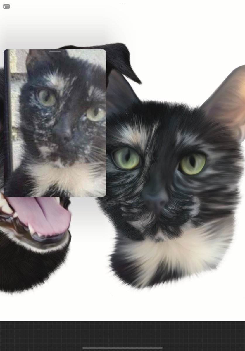 TalpaStudio's tweet photo. ¿Alguien se acuerda de ella? 🐱

Para mi, las gatas Carey son tremendamente difíciles de hacer, pero me está gustando el reto.

Que poquito queda para terminar este retrato y entregar mi último regalo pendiente❤️
 
¿Qué tal está quedando?

#talpastudio #procreateart https://t.co/WMycA5htYd