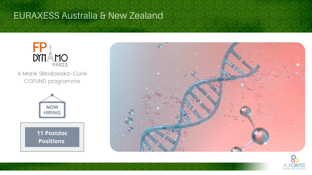 Euraxess_AusNZ's tweet photo. 🇪🇺 #MSCA COFUND programme, FP-DYNAMO-PARIS, has opened 1️⃣1️⃣ #Postdoc positions in:
🔸 Genetics, Genomes & RNA
🔸 Membrane Protein Complexes
🔸 Membrane System Dynamics
🌏 Open for researchers of any nationality - to be hosted at @IbpcF 🇫🇷
Read more 👉 https://t.co/FKwBzlRjEu https://t.co/YUtd1WasKF