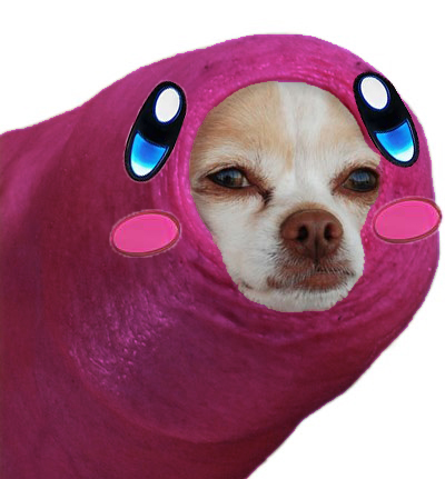 Kirykuzu's tweet photo. Perdón 
#NintendoDirect #Kirby #KirbyandtheForgottenLand https://t.co/TQZID72P24