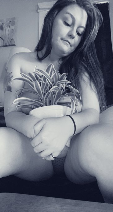 🅡🅐🅔🅐🅝🅝 - 🪴😘🥵 https://t.co/cvzv2o8x7D