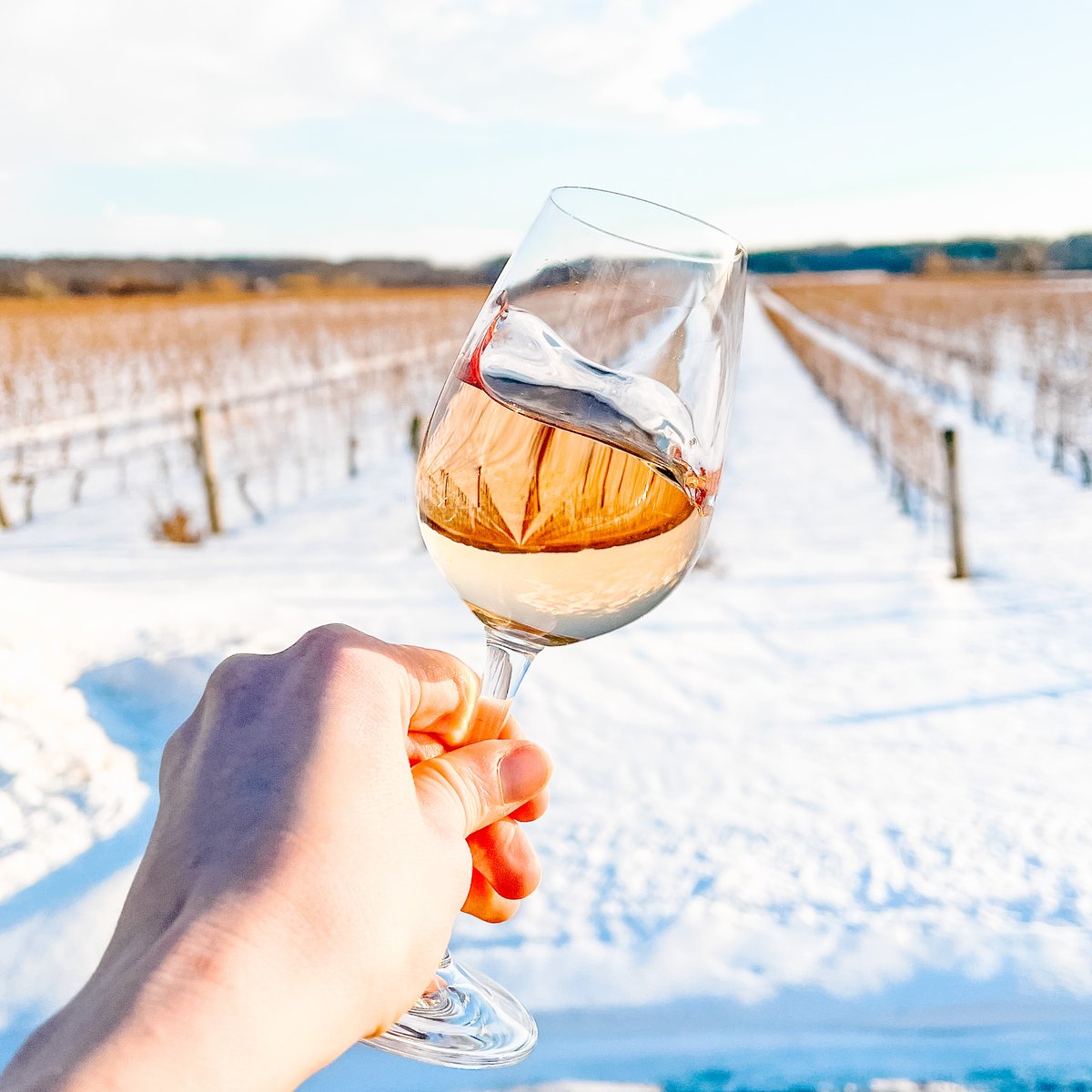 Life looks best through Rosé coloured glasses💕

store.kewvineyards.com/half-dozen-ros…