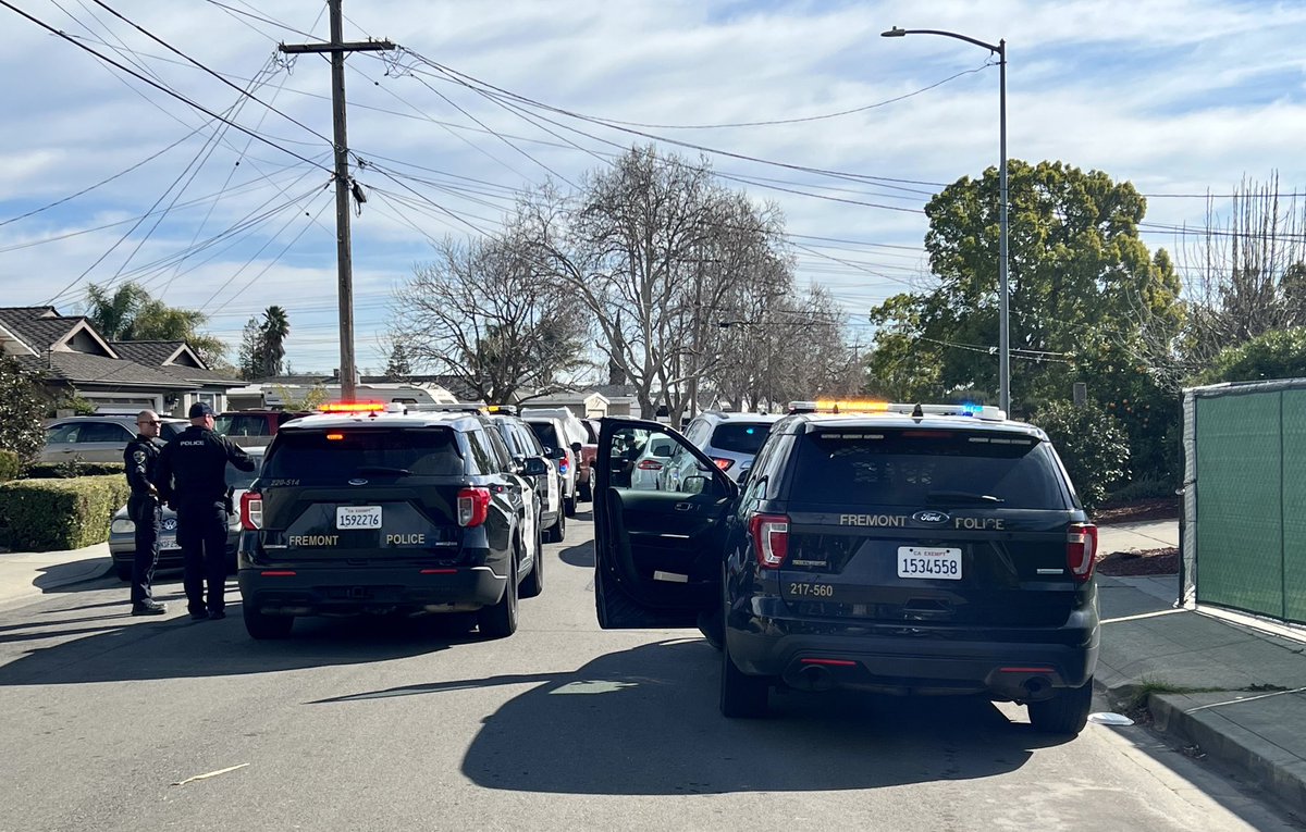 PaulaPhoto007's tweet photo. Fremont Police Department handling a stolen auto, BOSS HIT, on Newport Drive in Irvington. #Police #Fremont #NewportDrive #Irvington #MarkUnits #UndercoverUnits #BOSSHIT #StolenAutoInterventionTeam #ILoveamaninuniform #cutecops https://t.co/SHXf6lChjz