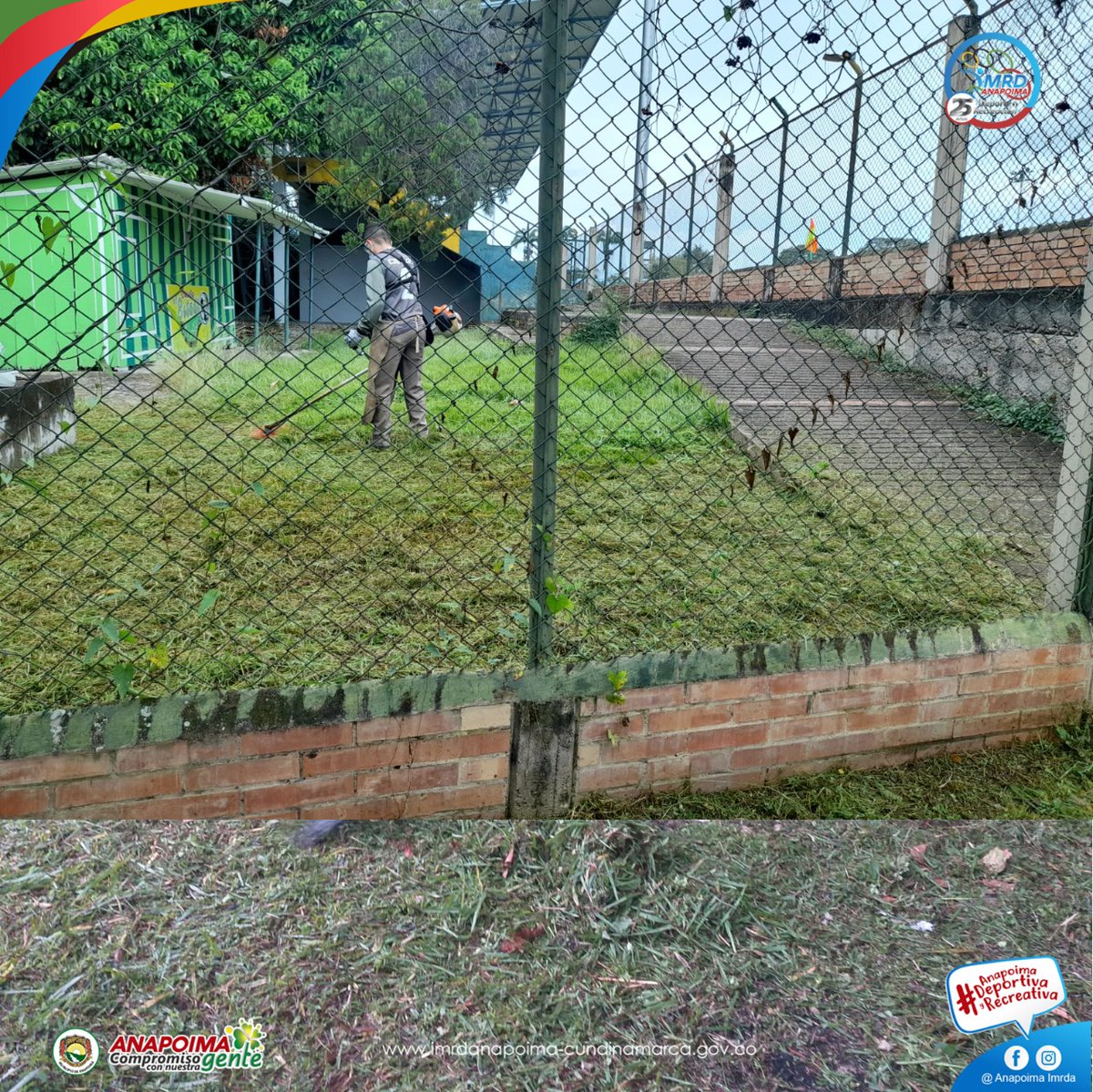 AnapoimaImrda's tweet photo. #mantenimiento 
#IMRDA
#anapoimacompromisoconeldeporte
Continuamos con los trabajos de adecuación de nuestros  escenarios deportivos, actualmente el  personal de mantenimiento se  encuentra realizando trabajos de poda y recolección de escombro vegetal en el  estadio municipal. https://t.co/IGMgTMuawh