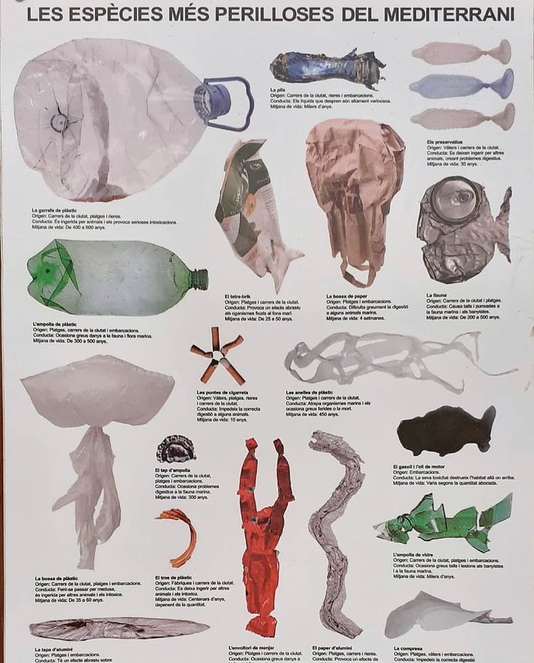 Las especies más peligrosas del Mediterráneo 🌊
Desconocemos la autoría de esta genialidad👏🏽👏🏽
Ahí están las estrellas de colillas🚬

#nohayplanetab #somoslaúltimageneraciónquepuedesalvarelplaneta #sistemaDDRya #ecoembesesunfraude #ecoembesmiente #trabajosdecomunidadya #multasya