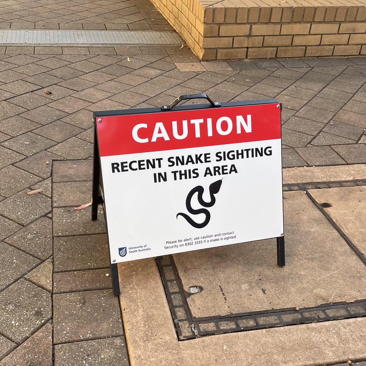 Amie Albrecht - moved to 🦋 tweet media