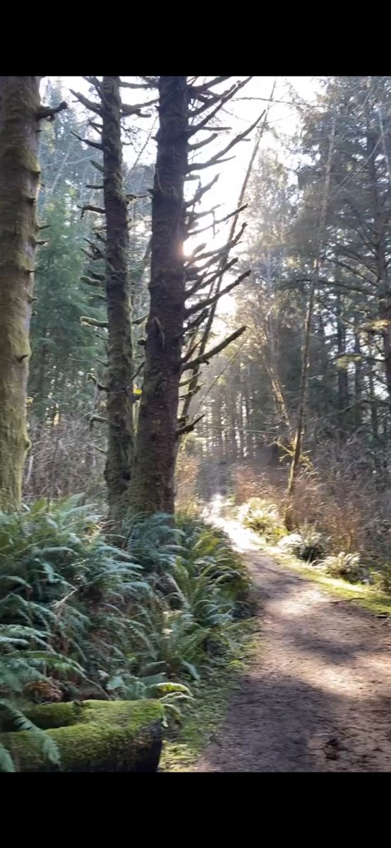 ArchuletaDylan's tweet photo. 📍 PNW https://t.co/McFXLgcQNN
