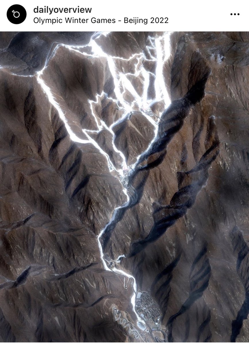 Mike Simonsen 🐉 tweet media