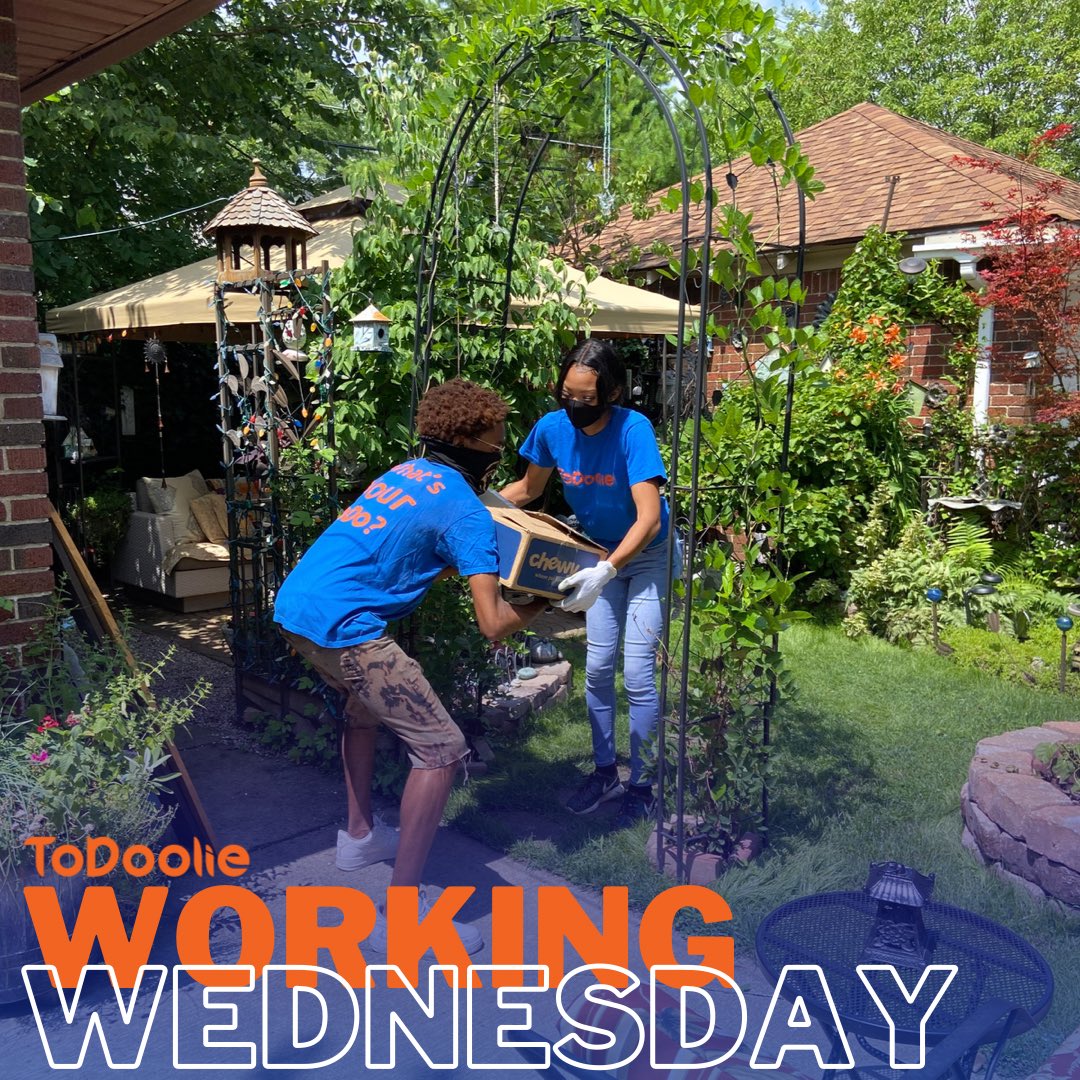 ToDoolie tweet media