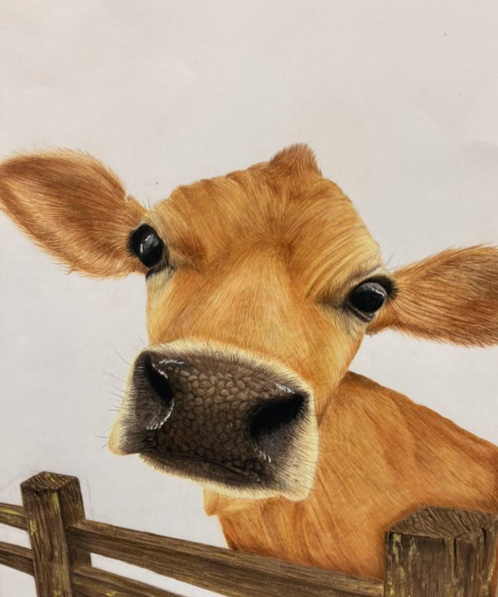 QUAD Participation tweet media