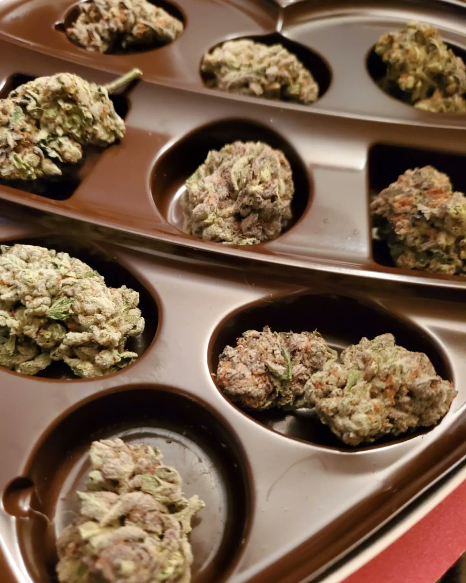 MemoirsOfGaySHA's tweet photo. Every kush begins w| kayyy. Or however it goes. Nug filled heart boxes. #NYC #VDayMenu 👽🍃🛸 https://t.co/LVNPZJ35G3
