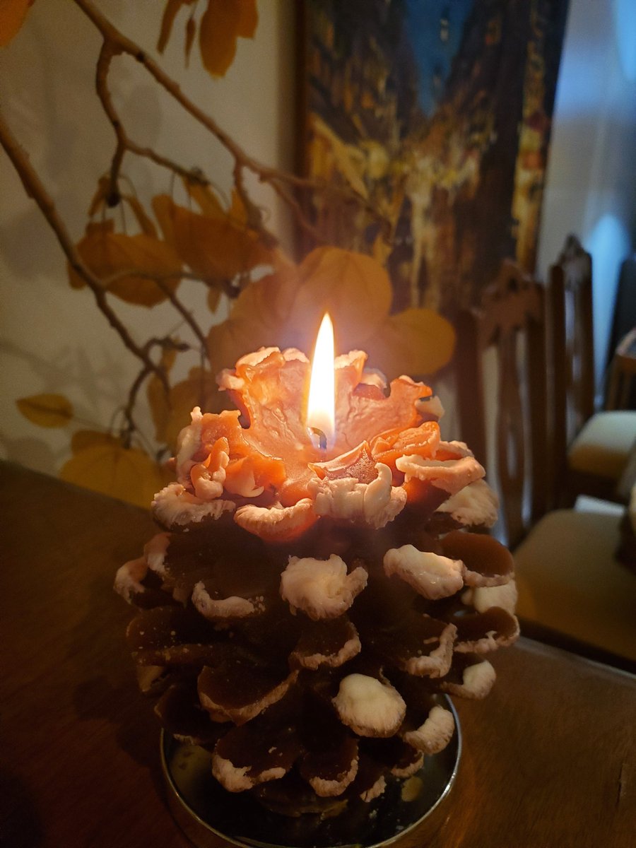 <a href="/JulieMurray2_9/">Julie Murray</a> <a href="/MauraMurraydoc/">Missing Maura Murray</a>