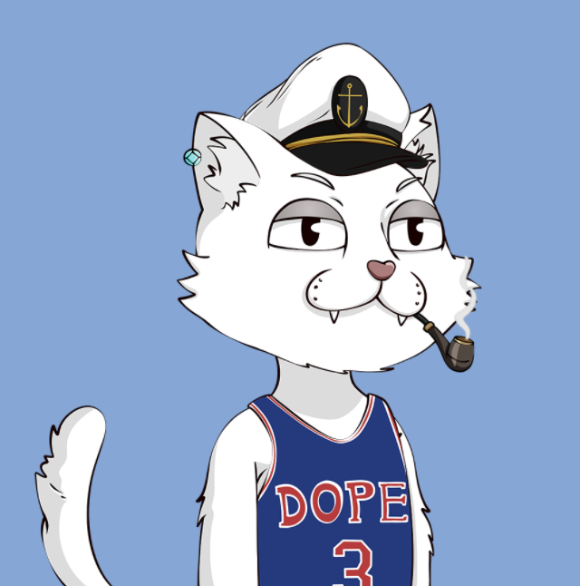 PotterTurbo's tweet photo. Just scored a dope cat on Solana. Turbo Stoked! #dopecats #nft #solana @Dope_Cats https://t.co/gwLva7YXFX