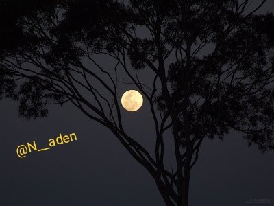N__aden's tweet photo. -
و ارّحمنـي إِذا انقطعَ من الدُنّيـا أثري يا الله .

😴 https://t.co/PtVNecXWKi