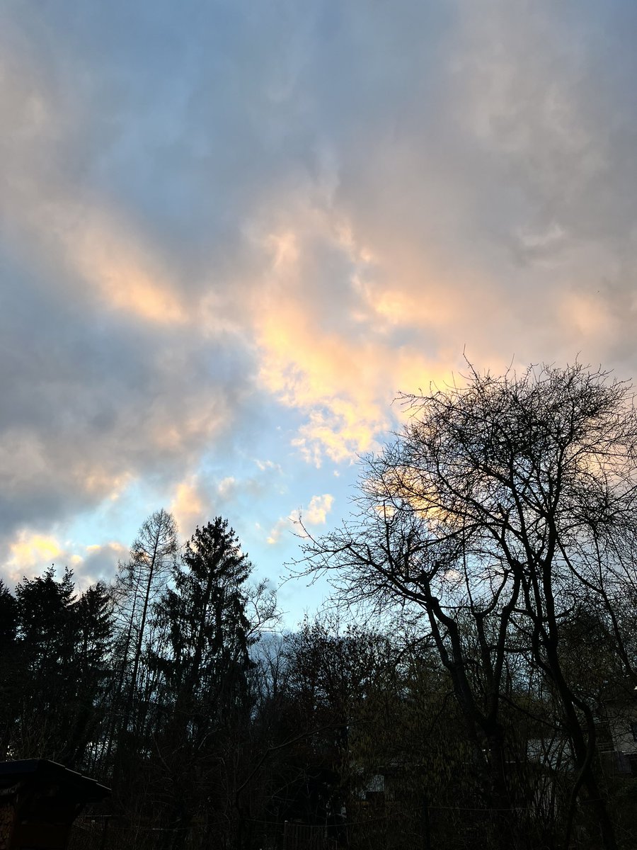 cataguttierrez's tweet photo. Una postal de invierno. Sin embargo, no dejo de pensar en el verano que estaría viviendo en Chile.
#invierno #febrero #winter #sky https://t.co/VqOcZnvlse