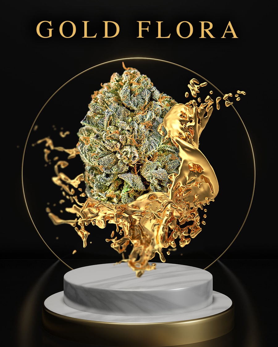 BudCars420's tweet photo. Gold Flora Weed. Premium, small-batch flower cultivated and cared for by hand at STATE-OF-THE-ART indoor grow facility located in Desert Hot Springs, California. #goldflora #BudCars https://t.co/wslXuIFgz8