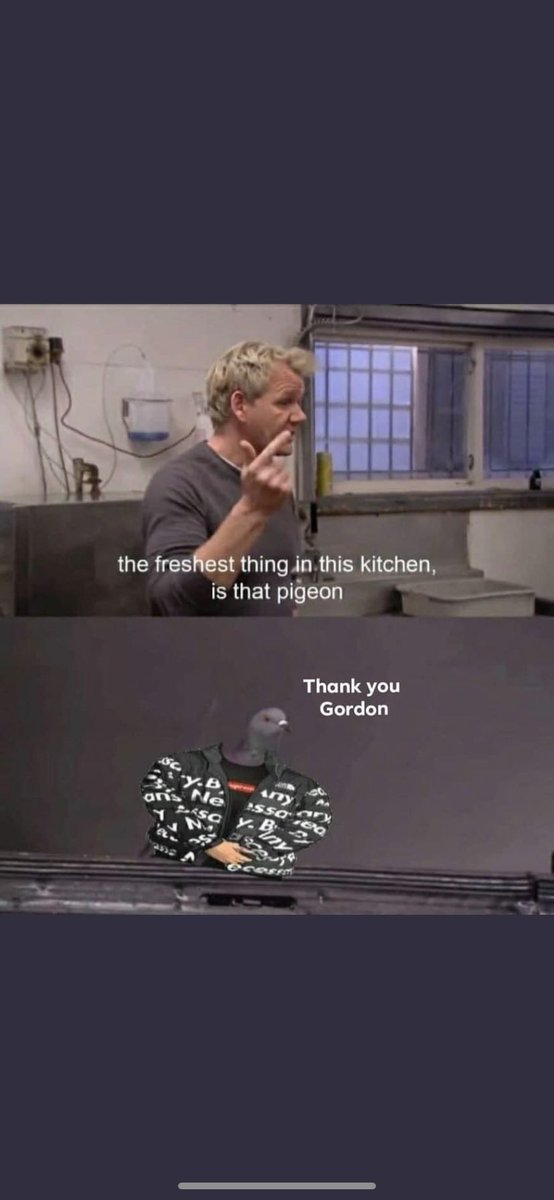 … (@solanasid) on Twitter photo 